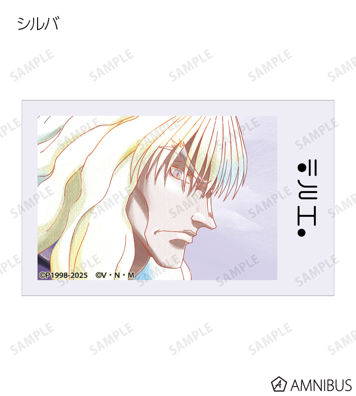 非売品カード‼️⑧HUNTER x HUNTER アニメイト 限定カード2枚‼️ resize_image.php?image=