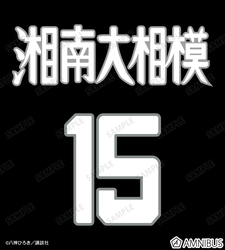 湘南大相模高校 Tシャツ
