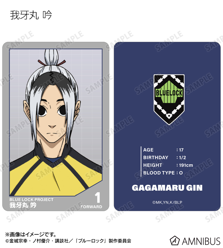 トレーディングプラスチックカード