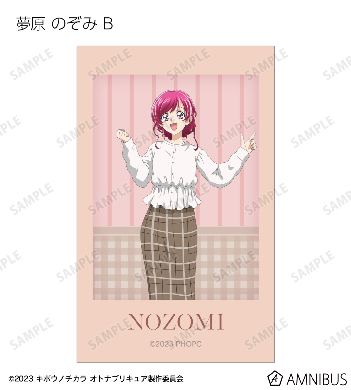 オトナプリキュア キボウノチカラ namco ガラポン A賞 B賞 C賞 のぞみ 今夜は、のぞみたちと一緒に乾杯！ 「キボウノチカラ～オトナ