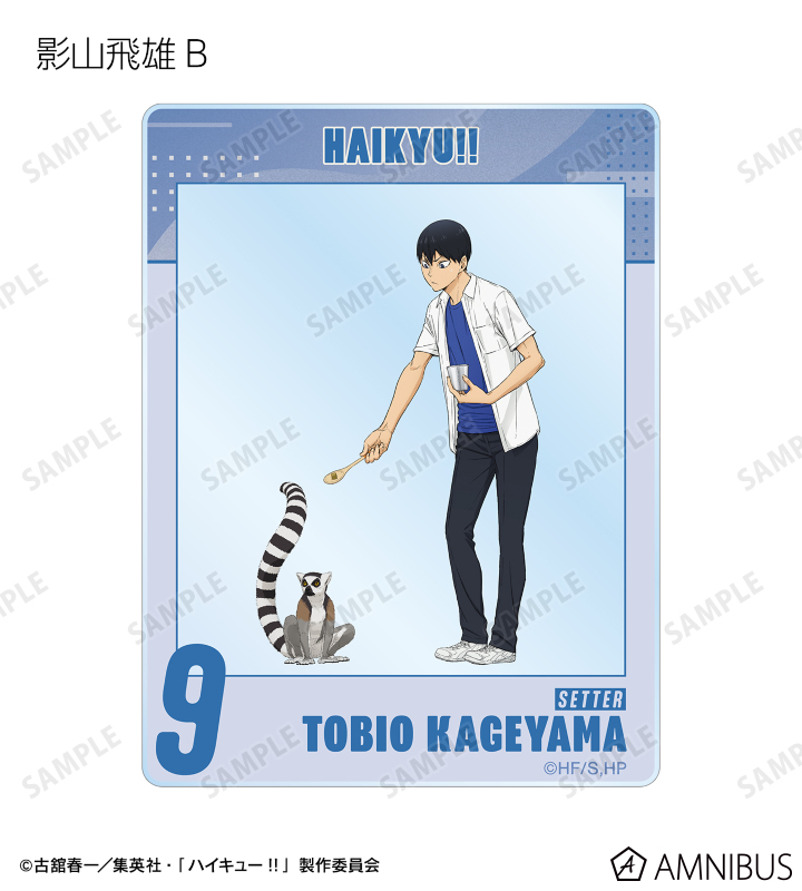 ハイキュー！！イラストカード イラストボード ムスビイ アドラーズ　未開封品 ハイキュー！！イラストカード イラストボード ムスビイ
