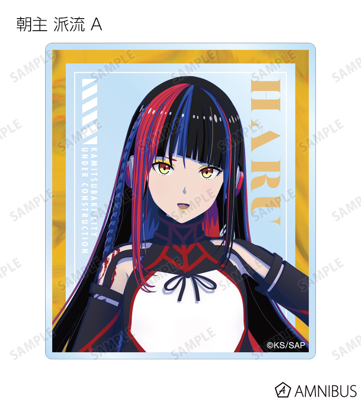 芥椿さま専用 ハクバ セーム革 MS（約1250cm2） - ハクバ写真産業