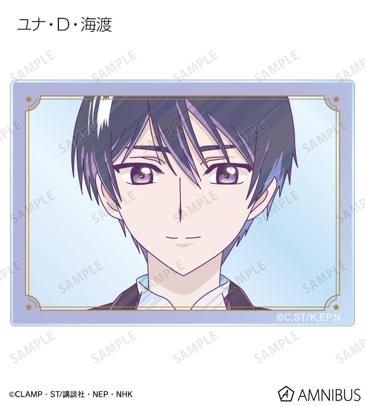 Abitus CIA MCカードPart1,2,3全8冊 CIA Part I, II, III 教材 3セット8冊