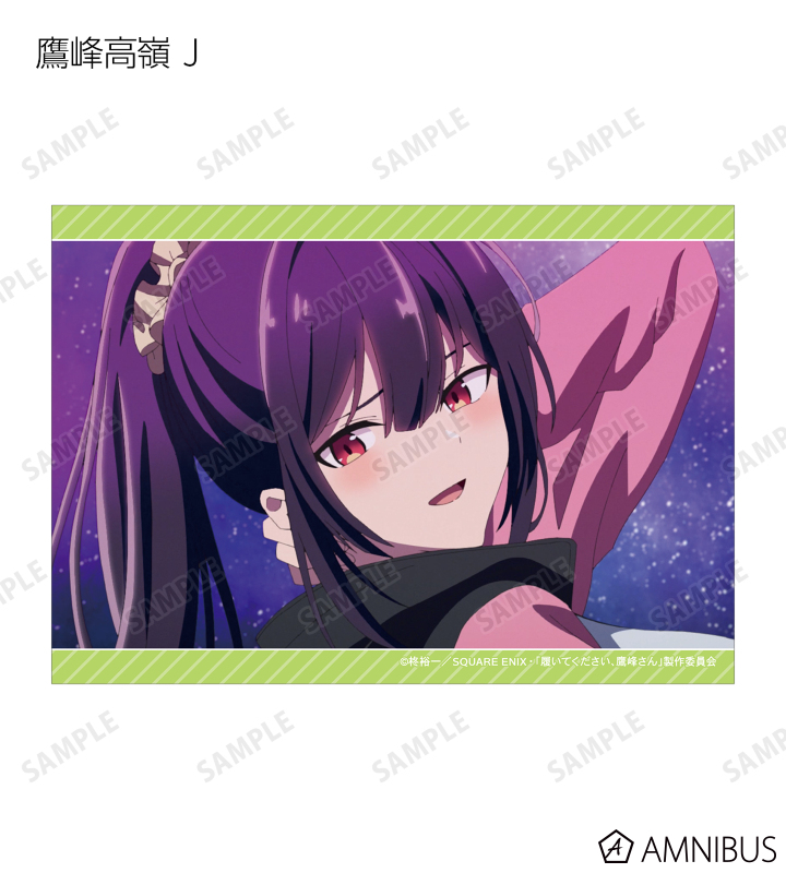 全てのアイテム TVアニメ『履いてください、鷹峰さん』 トレーディング場面写 - ブースター・導入液