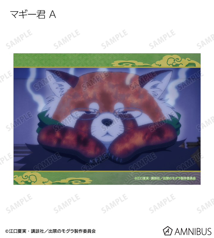 マギー君 場面写ブロマイド2枚セット