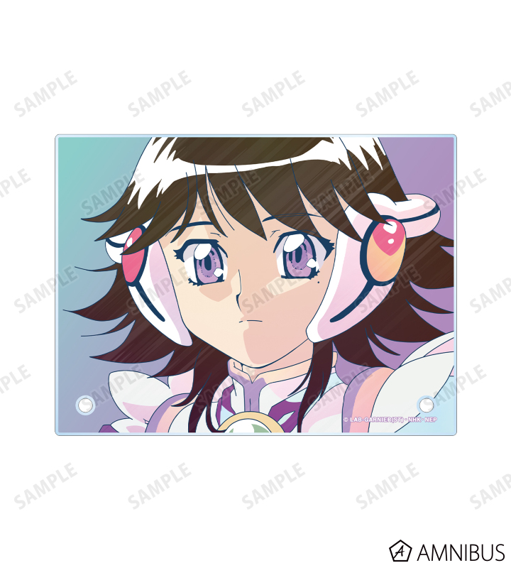 コレクター・アイ Ani-Art clear label A6アクリルパネル
