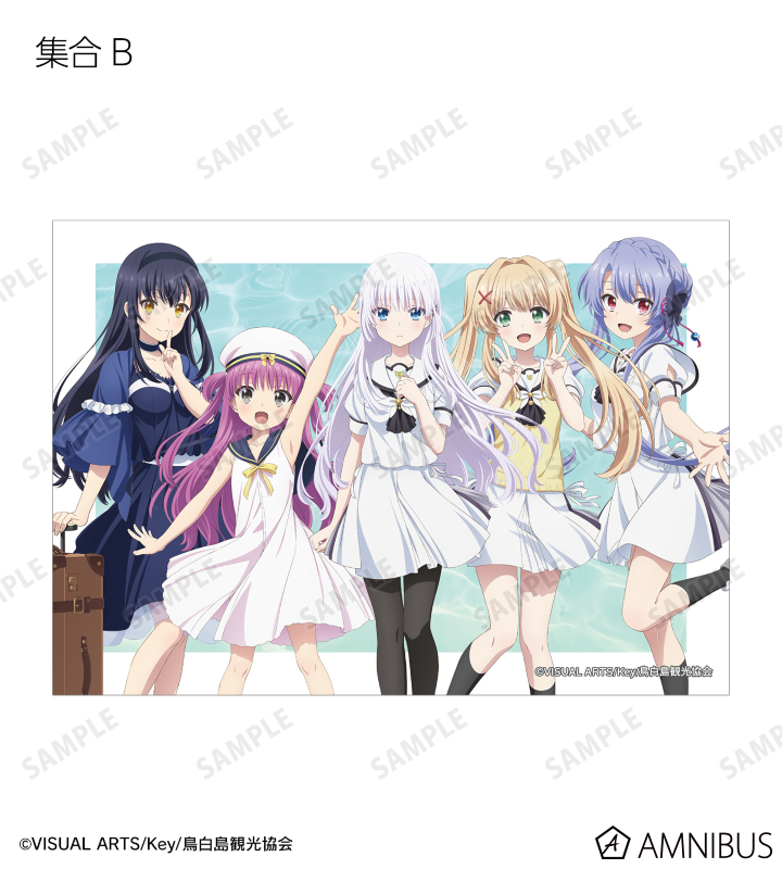 トレーディングブロマイド