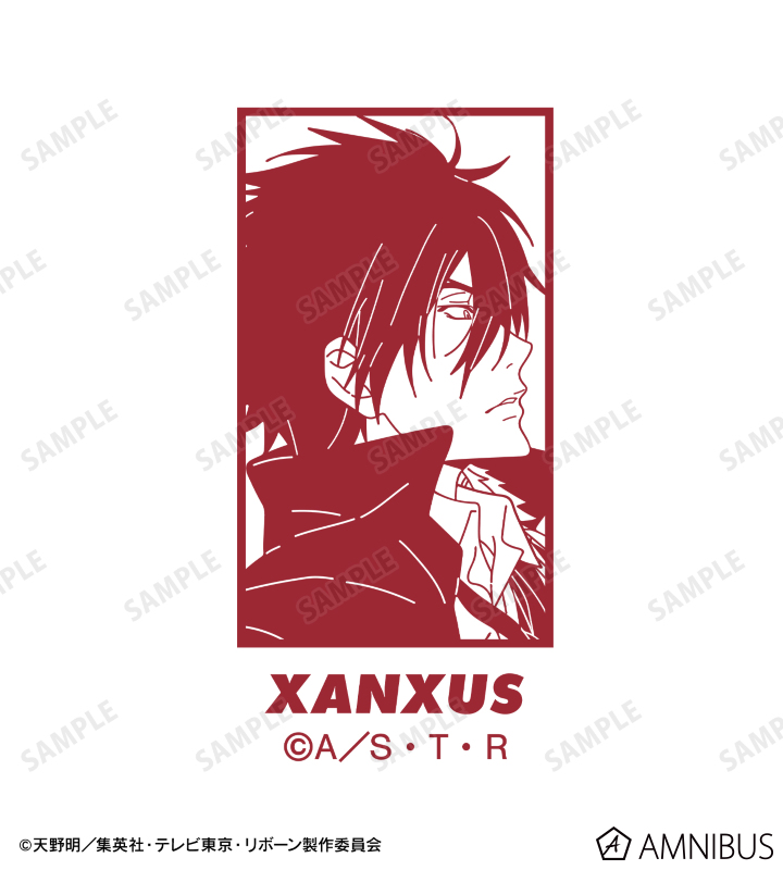 描き下ろし XANXUS(10年後) 歩みver. フリクションボール3スリム