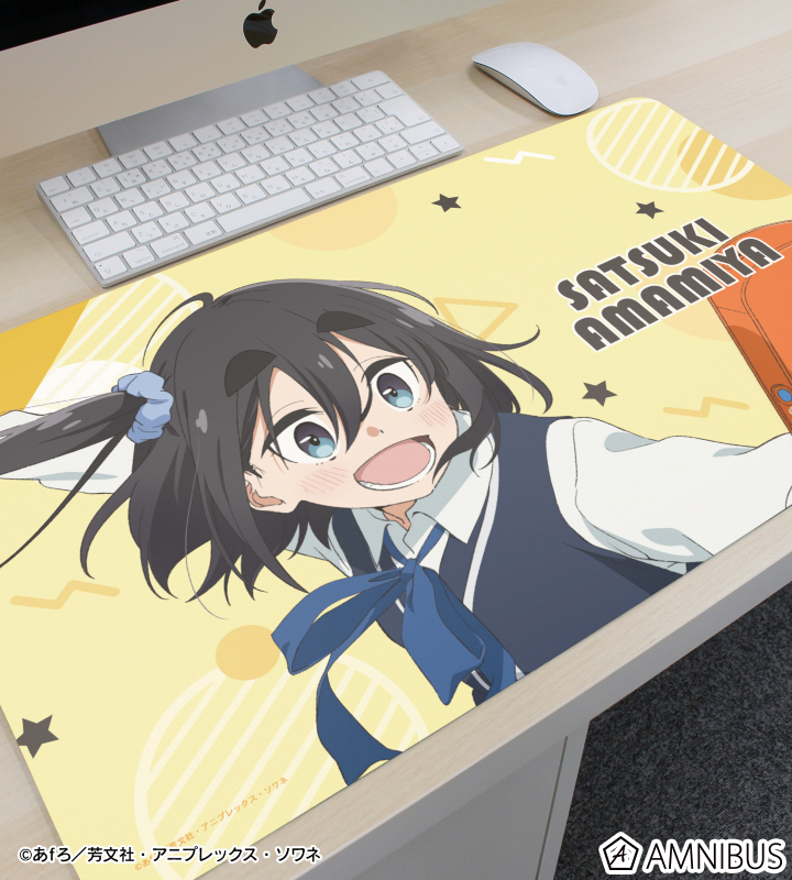 アニメ　下敷き アニメ下敷き11枚