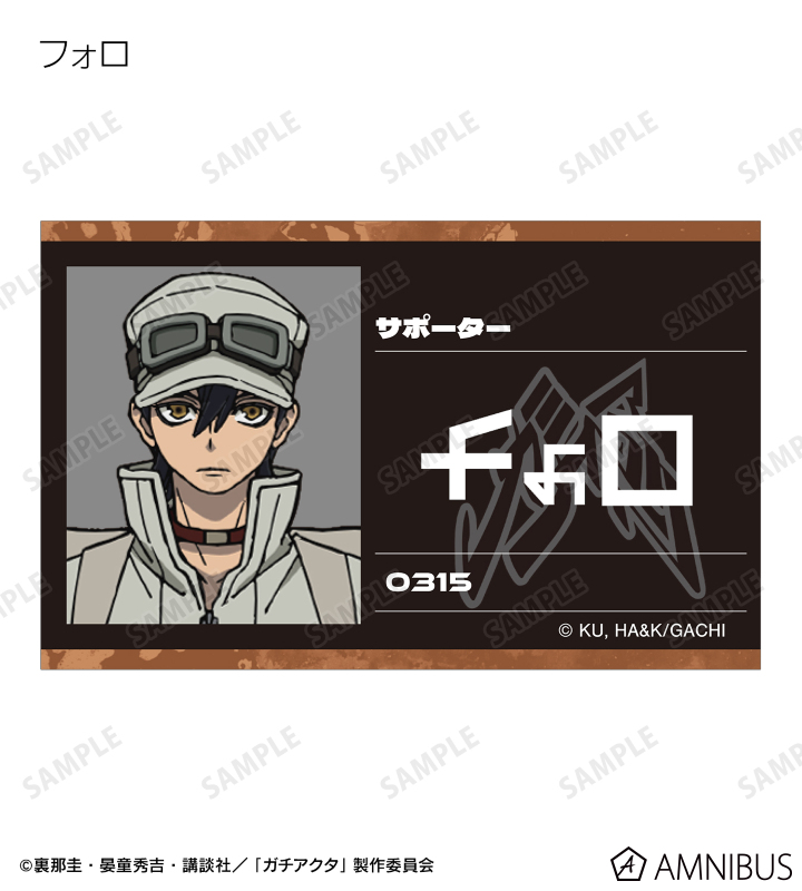 トレーディングビジュアルカード