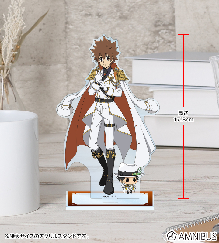 リボーン 沢田綱吉 ツナ アクリルスタンド ポイント景品 家庭教師ヒットマンREBORN！ BIGアクリルスタンド 雪バトル