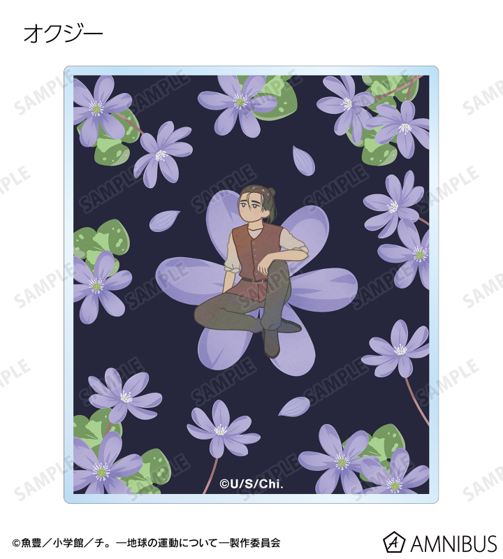 トレーディング Botania アクリルカード