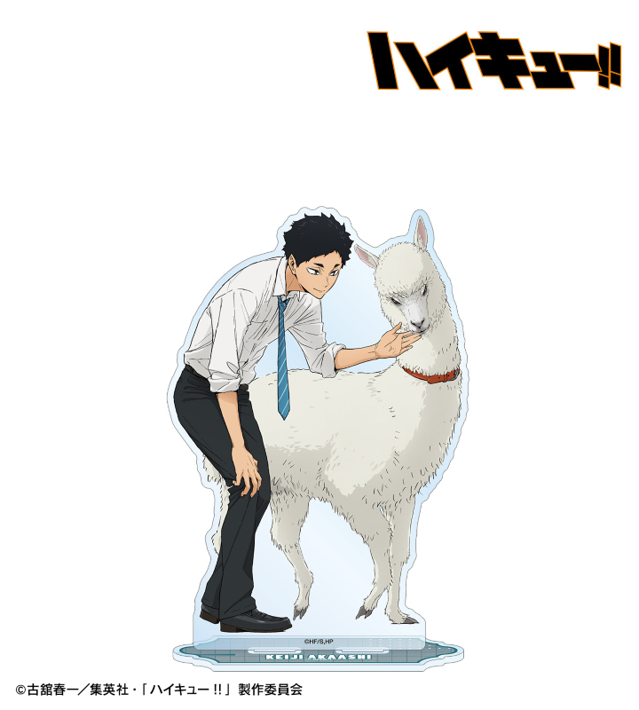ハイキュー!! - 描き下ろし 赤葦京治 動物とのふれあいver. BIG