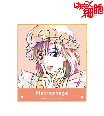 マクロファージ Ani-Art 色紙