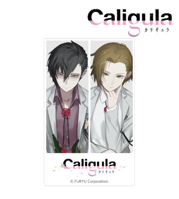 主人公（男）＆主人公（女） カードステッカー