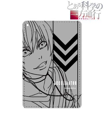 アクセラレータ 1ポケットパスケース