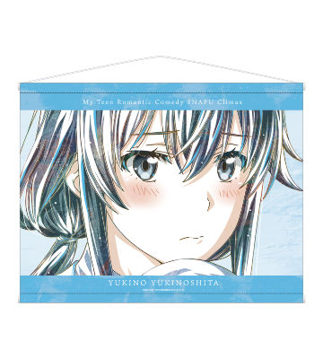 雪ノ下雪乃 Ani-Art 第2弾 B2タペストリー