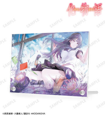 戦場ヶ原ひたぎ 特装版10巻表紙イラスト ダブルアクリルパネル