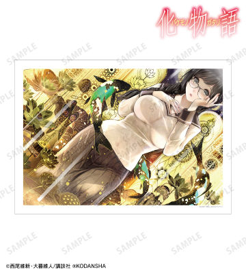 羽川翼 特装版11巻表紙イラスト A3マット加工ポスター