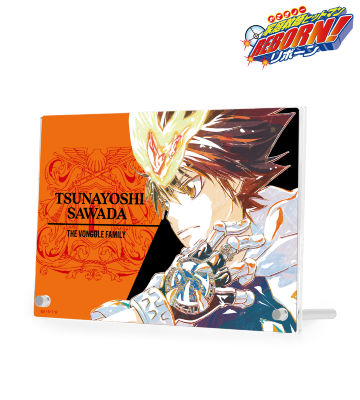 沢田 綱吉 Ani-Art 第2弾 ダブルアクリルパネル