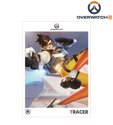 トレーサー A3マット加工ポスター