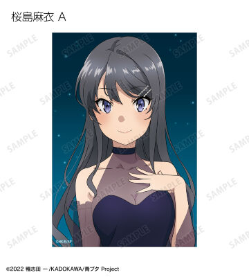 描き下ろし 星空ドレスver. トレーディングクリアカード