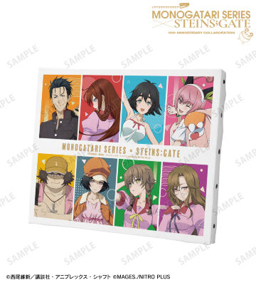 物語シリーズ×STEINS;GATE - 描き下ろし 神原駿河&阿万音鈴羽