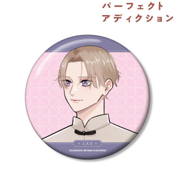 パーフェクトアディクションのコラボ商品一覧 | AMNIBUS(アムニバス)