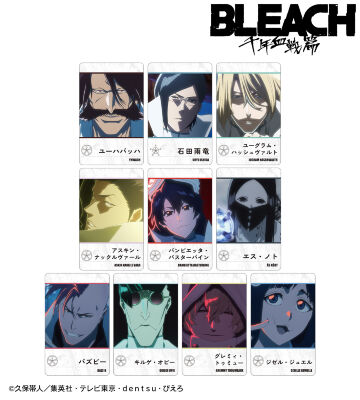 BLEACH　アクリルブロックまとめ売り BLEACH 黒崎一護 メディコス トモタカ アクリルブロック カード