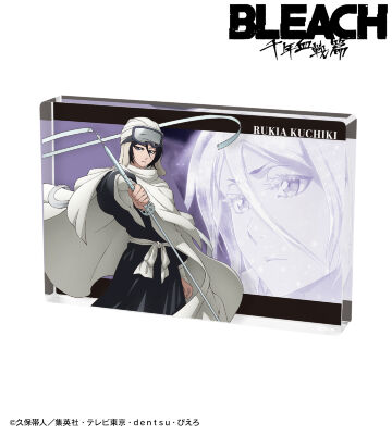 BLEACH【アクリルパネル】 ブリーチ BLEACH EX 原画展 描き下ろし 受注生産 アクリルパネル