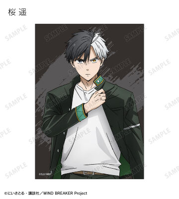 トレーディングブロマイド