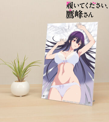 鷹峰高嶺 A4アクリルパネル