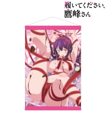 鷹峰高嶺 B2タペストリー