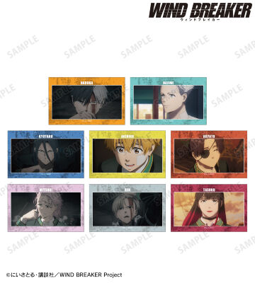 WIND BREAKER 中国限定　場面　フォトカード　セット　B WIND BREAKER フォトカードセット カンフー【YTE公式オンライン