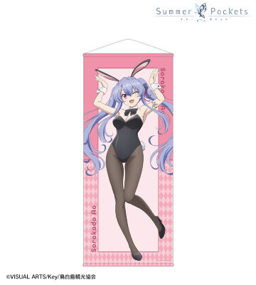 描き下ろし 空門蒼 バニーガールver. 等身大タペストリー