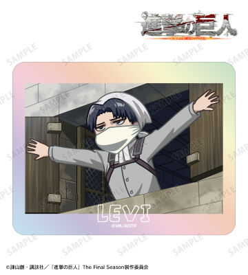 進撃の巨人  リヴァイ シャンプーコンディショナー　エルヴィン lev03.jpg