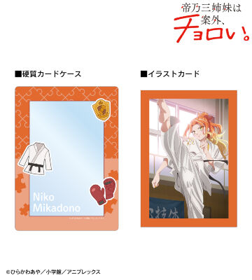 帝乃 二琥 A5硬質カードケース&A5イラストカードセット