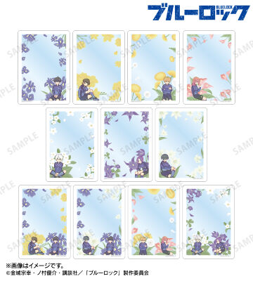 トレーディング Botania B8硬質ケース