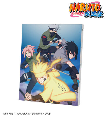 2016年初夏キービジュアル キャンバスボード