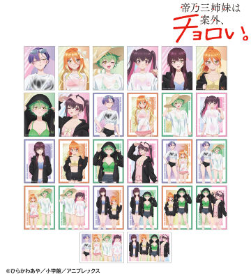 描き下ろし ビーチデートver. トレーディングブロマイド