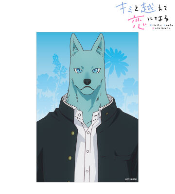 飛高 繋 クリアカード