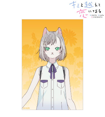 キサラ クリアカード