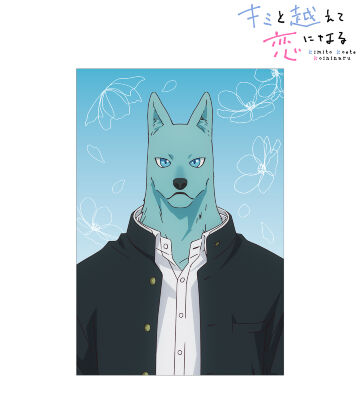 飛高 繋 ポストカード