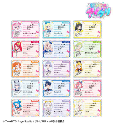 トレーディングプラスチックプロフィールカード