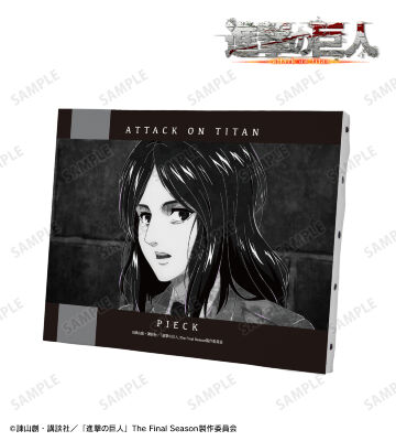 ピーク Ani-Art BLACK LABEL 第2弾 F0号キャンバスボード