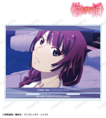 戦場ヶ原ひたぎ 場面写BIGアクリルスタンド