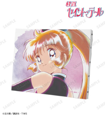 怪盗セイント・テール Ani-Art aqua label F0号キャンバスボード