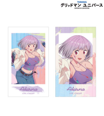 描き下ろし 新条アカネ ペインタースタイルver. Ani-Frame 2枚セット